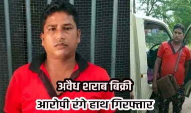 छोटा हाथी में कुरकुरे, चिप्स और बिस्किट के आड़ में देशी शराब की बिक्री, पुलिस ने आरोपी मानक साहू को गिरफ्तार कर वाहन किया जप्त