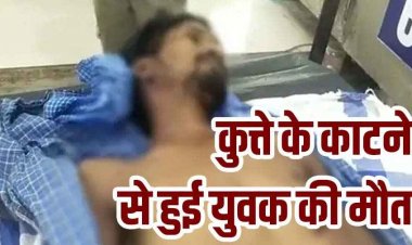 ढाई महीने पहले आवारा कुत्ते ने 4 लोगों को काटा, जड़ी-बूटी से करा रहे इलाज, डॉग के काटने से फैला रैबीज, युवक की मौत