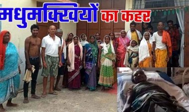 मधुमक्खियों का मजदूरों पर हमला, 15 मजदुर घायल, अस्पताल में भर्ती, सभी का इलाज जारी, एक बुजुर्ग महिला की हालत नाजुक