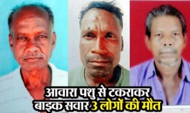 मवेशी से टकराई बाइक, हादसे में बकरा भात खाकर लौट रहे एक ही परिवार के तीन लोगों की दर्दनाक मौत, गांव में पसरा मातम