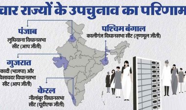 विधानसभा उपचुनाव के आए नतीजे, नीलम्बूर में कांग्रेस ने मार लिया हाथ, पंजाब में AAP का कब्जा, बंगाल में टीएमसी की जीत, गुजरात में आप की एंट्री