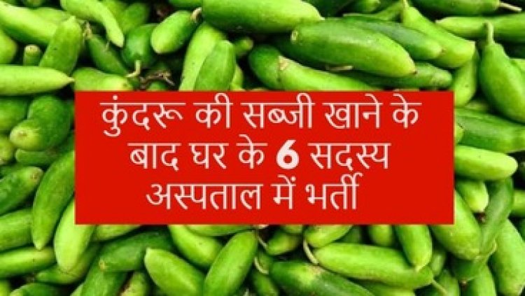 कुंदरु की सब्जी खाने के बाद बिगड़ी तबीयत, घर के 6 लोग बीमार, फूड पॉइजनिंग का शिकार होकर अस्पताल में भर्ती, मचा हड़कंप