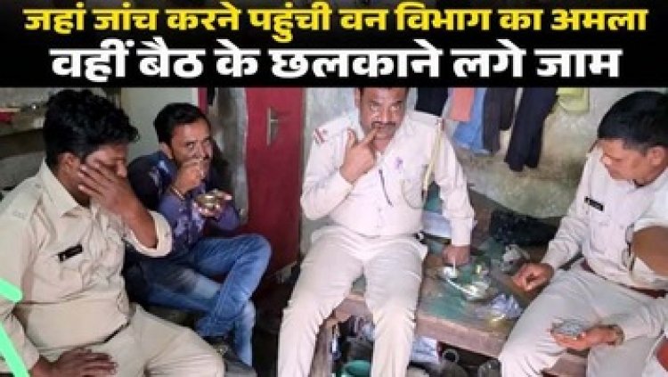 रक्षक ही बने भक्षक! जांच के नाम पर आरा मिल में वन विभाग की शराब पार्टी, पत्रकार पहुंचे तो मचा हड़कंप, डीएफ ओ ने कार्रवाई के दिए निर्देश