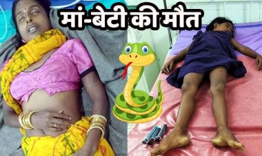 रात में फर्श पर बच्ची संग सो रही मां-बेटी की सांप के काटने से मौत, सीएचसी और जिला अस्पताल में तोड़ा दम, गांव में पसरा मातम