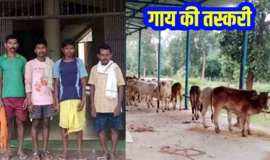 पुलिस ने गौ-तस्करी में शामिल 4 आरोपियों को गिरफ्तार कर भेजा सलाखों के पीछे, तस्करों से 34 मवेशियों को किया बरामद