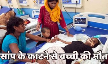 घर के आंगन में सो रही दो सगी बहनों को सांप ने डंसा, सर्पदंश से 10 माह की मासूम बच्ची की मौत, दूसरी बहन की हालत नाजुक, गांव में पसरा मातम