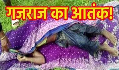 हाथी के हमले से 4 लोगों की मौत, खेत से लौट रहे पिता-बेटी को दौड़ाया, फिर पटककर मारा, महिला और बुजुर्ग को कुचला, गांव में पसरा मातम