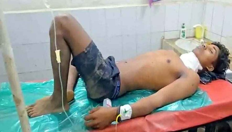 भालू ने बरपाया कहर, मशरुम बीनने गए युवक पर जानलेवा हमला, गर्दन और हाथ चीर डाले, इधर रिहायशी इलाके में घुसा तेंदुआ, बछड़े को बनाया शिकार