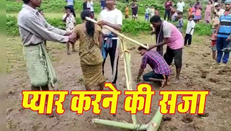 प्यार करने की दी शर्मनाक सजा, शादी के बाद प्रेमी जोड़े से जानवरों जैसा बर्ताव, दोनों को हल से बांधकर खेत जुतवाया, वीडियो वायरल