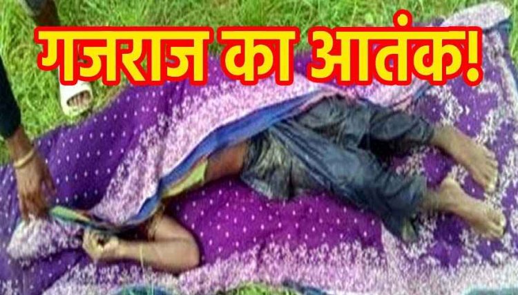 हाथी के हमले से 4 लोगों की मौत, खेत से लौट रहे पिता-बेटी को दौड़ाया, फिर पटककर मारा, महिला और बुजुर्ग को कुचला, गांव में पसरा मातम