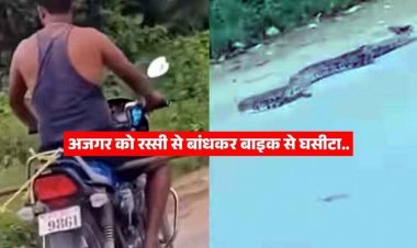 रस्सी से बंधे अजगर को बाइक पर खींचते युवक का वीडियो वायरल, कई किलोमीटर तक घसीटा, सोशल मीडिया पर गुस्से की लहर