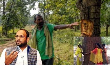 हसदेव में अब पांच लाख पेड़ काटने की तैयारी!, मंजूरी वापस लेने की मांग, आलोक शुक्ला ने दी प्रदेशव्यापी आंदोलन की चेतावनी