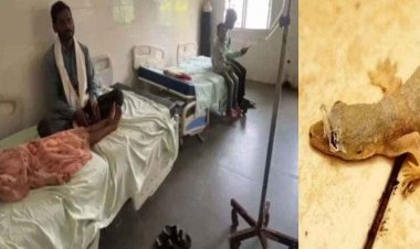 चने की सब्जी में गिरी छिपकली, खाना खाते ही बीमार पड़ा पूरा परिवार, मचा हड़कंप, 3 बच्चे भी शामिल, 4 लोग अस्पताल में भर्ती