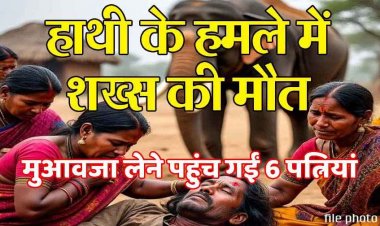 हाथी के हमले से किसान की मौत, 6 लाख मुआवजे के लिए सामने आई मृतक की 6 पत्नियां, असली हकदार कौन? वन विभाग हैरान