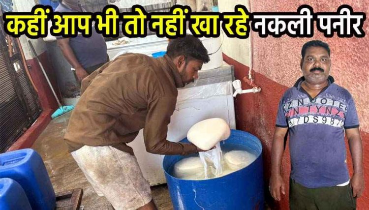 रक्षाबंधन से पहले रायपुर में छापेमारी, बड़े होटलों और दुकानों में सप्लाई हो रही फैक्ट्री से नकली पनीर समेत कच्चा माल बरामद
