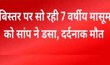 मां के साथ बिस्तर पर सो रही 7 वर्षीय मासूम बच्ची को सांप ने डसा, दर्दनाक मौत, परिजनों का रो-रोकर बुरा हाल, विशेष सतर्कता बरतने की अपील