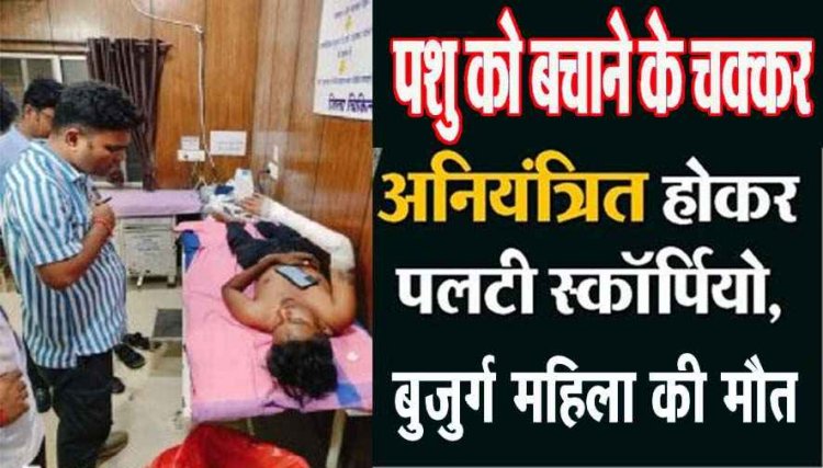 मवेशी को बचाने के चक्कर में अनियंत्रित होकर पलटी तेज रफ्तार स्कॉर्पियो, गर्दन टूटने से बुजुर्ग महिला की मौत, बेटा-बहू समेत 4 घायल