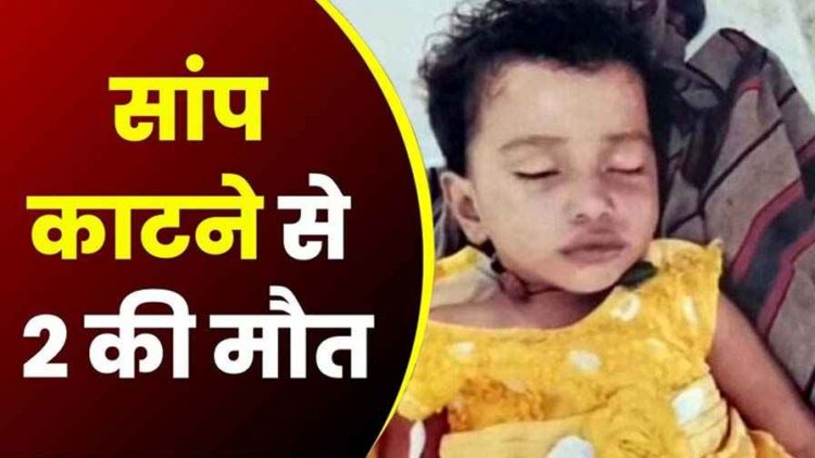 मां के साथ सो रही ढाई वर्षीय मासूम बच्ची की सांप के काटने से मौत, इधर झाड़-फूंक के चक्कर में महिला की गई जान, परिजनों का रो-रोकर बुरा हाल