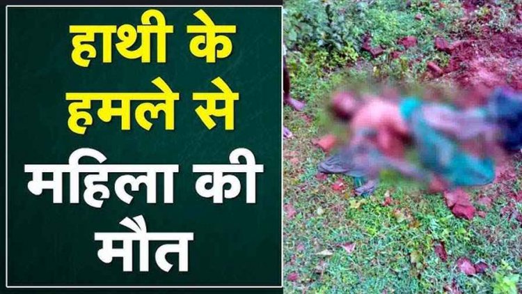 एक बार फिर क्षेत्र में मानव-हाथी संघर्ष, गजराज ने बुजुर्ग महिला कों कुचल कर उतारा मौत के घाट, कई घरों को भी पहुंचाया नुकसान, इलाके में दहशत