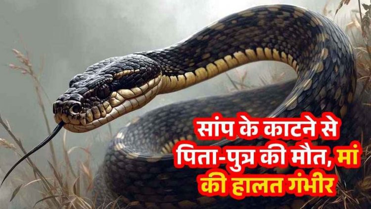 करैत सांप ने छीनी दो जिंदगियां, एक ही परिवार के तीन सदस्य बने शिकार, पिता-बेटे की मौत, मां गंभीर, इलाज में लापरवाही का आरोप, जांच के आदेश