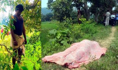 खेत के मेढ़ पर खून से सनी मिली पत्नी की लाश, कुछ दूर पेड़ पर लटका मिला पति का शव, फैली सनसनी, पुलिस को पोस्टमॉर्टम रिपोर्ट का इंतजार