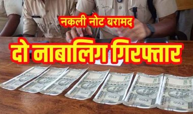 चोरी के नोट निकले नकली, खपाने की फिराक में पकड़े गए दो नाबालिग लड़के, 100-100 रुपए की 53 जाली करेंसी बरामद, मचा हड़कंप