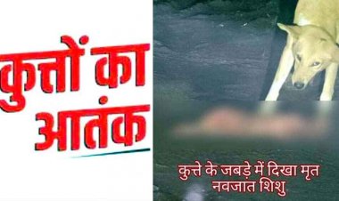 दिल दहला देने वाली घटना, आवारा कुत्ते के जबड़े में दिखा मृत नवजात शिशु, मचा हड़कंप, सोशल मीडिया में वीडियो जमकर वायरल