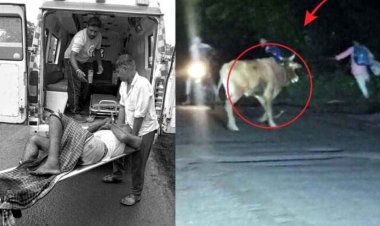 सांड ने मचाया कोहराम, एक दिन में 5 लोगों पर किया हमला, एक की मौत, इलाके में दहशत का माहौल, सोशल मिडिया में वीडियो वायरल