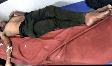 बंदर ने छेड़ा मधुमक्खी का छत्ता, बेकाबू मधुमक्खियों ने ट्रेन से उतरे पैरालिसिस शख्स को 20 मिनट तक मारा डंक, मची अफरा-तफरी, हालत नाजुक