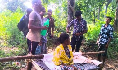 महिला को उठी प्रसव पीड़ा, गांव तक पहुंचने सड़क नहीं,  जान पर बन आई तो गर्भवती युवती को 10 किमी खाट पर उठाकर पहुंचाना पड़ा अस्पताल