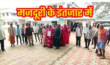 4 महीने से नहीं मिली मजदूरी, वन विभाग कार्यालय का घेराव कर मजदूरों ने लगाई इंसाफ की गुहार, दीपावली से पहले भुगतान की मांग, DFO ने जताया भरोसा