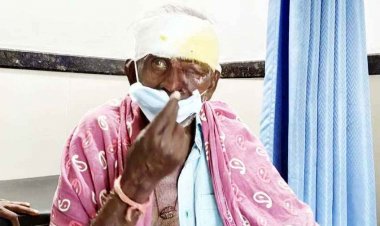 70 वर्षीय बुजुर्ग को नाग-नागिन के जोड़े ने आधा किलोमीटर दूर तक दौड़ाया, नदी में गिरने से बुजुर्ग घायल, संयोग या कुछ और, घटना बनी चर्चा का विषय