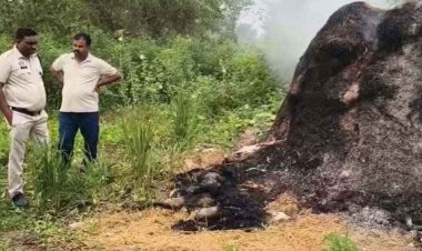 पैरावट के ढेर में मिली महिला की जली हुई लाश, शरीर पर चोट के निशान, हत्या की आशंका, इलाके में फैली सनसनी, जांच में जुटी पुलिस