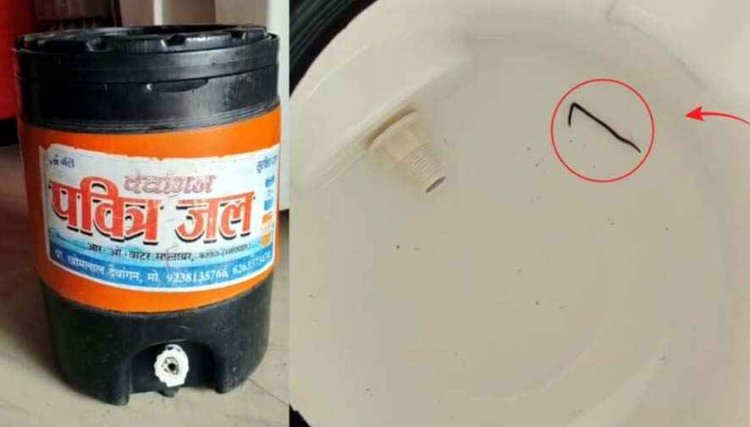 2 साल से कम उम्र के बच्चों को खांसी की सिरप देना प्रतिबंधित, मेडिकल स्टोर्स पर निगरानी तेज, इधर मिनरल वॉटर के केन में निकला जिंदा कीड़ा