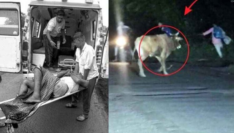 सांड ने मचाया कोहराम, एक दिन में 5 लोगों पर किया हमला, एक की मौत, इलाके में दहशत का माहौल, सोशल मिडिया में वीडियो वायरल