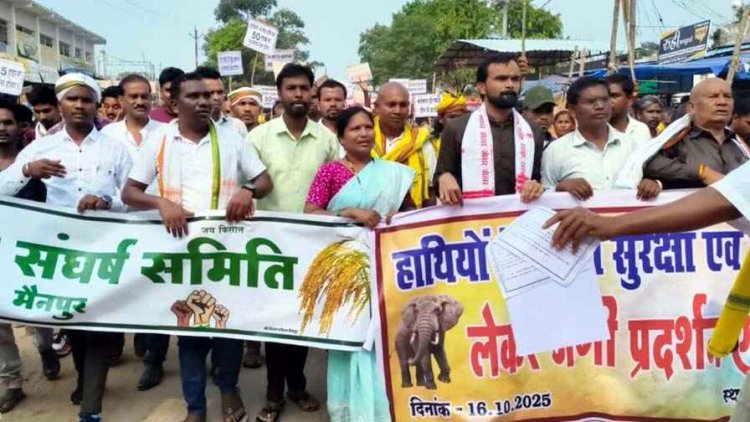 हाथियों के आतंक से परेशान हजारों ग्रामीणों ने मैनपुर में जंगी रैली निकाल वन विभाग का किया घेराव, पुलिस के साथ जमकर झुमाझटकी