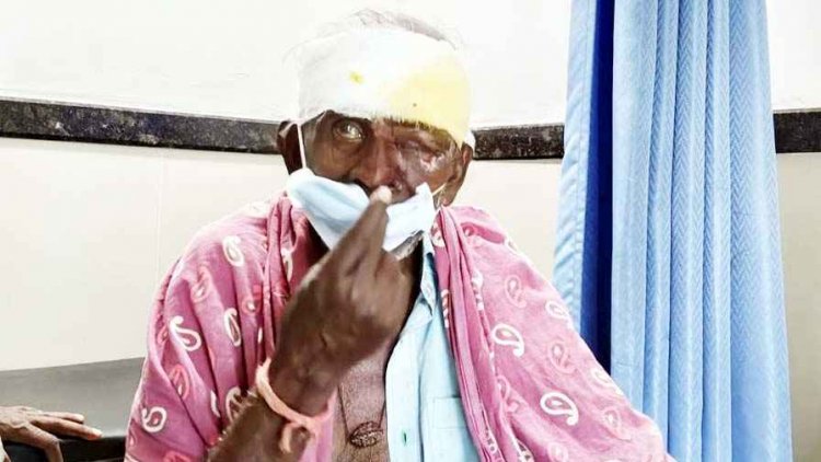 70 वर्षीय बुजुर्ग को नाग-नागिन के जोड़े ने आधा किलोमीटर दूर तक दौड़ाया, नदी में गिरने से बुजुर्ग घायल, संयोग या कुछ और, घटना बनी चर्चा का विषय