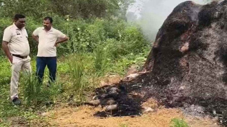 पैरावट के ढेर में मिली महिला की जली हुई लाश, शरीर पर चोट के निशान, हत्या की आशंका, इलाके में फैली सनसनी, जांच में जुटी पुलिस