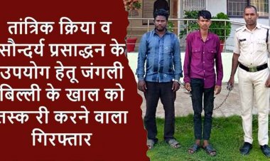 तांत्रिक क्रिया सौन्दर्य प्रसाद्धन के लिए जंगली बिल्ली की खाल तस्करी करने वाले 2 आरोपियों को गरियाबंद पुलिस ने किया गिरफ्तार
