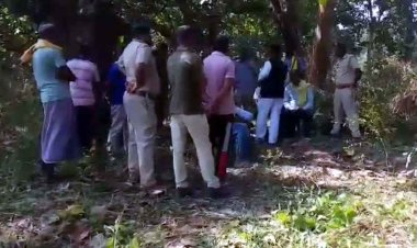 हाथियों ने कुचलकर ले ली ग्रामीण की जान, रात को गांव पहुंचा झुंड, खेत में रखवाली करने जा रहे युवक को कुचला, दहशत में लोग