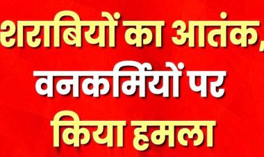 शराबियों का आतंक, जंगल में शराब पी रहे तीन युवकों ने मना करने पर वन कर्मियों की कर दी पिटाई, मचा हड़कंप, तीनों आरोपी फरार, तलाश जारी