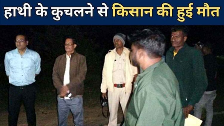 हाथियों ने किसान को कुचलने के बाद मृतक के घर जाकर मचाया आतंक, अंतिम संस्कार में आए रिश्तेदारों के वाहनों को कुचला, मची भगदड़