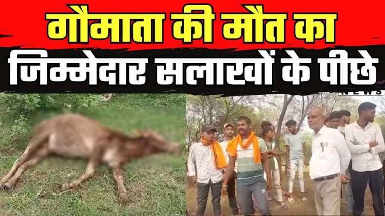 गौठान परिसर में 14 मवेशियों की मौत का मामला, आरोपी सरपंच रामकृष्ण गिरफ्तार, लगा गंभीर आरोप, पशु क्रूरता का मामला दर्ज