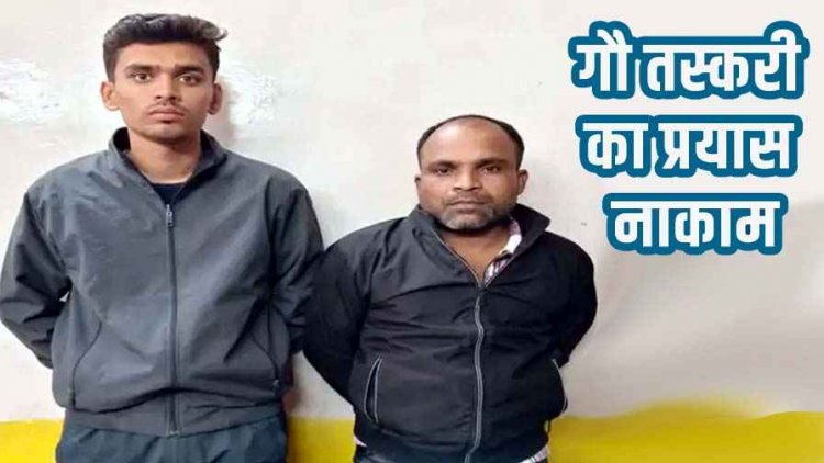 रायपुर में गौवंश तस्करी पर बड़ी कार्रवाई, 30 मवेशियों को पकड़कर नागपुर ले जा रहे 2 आरोपी गिरफ्तार, फरार एक साथी की तलाश जारी