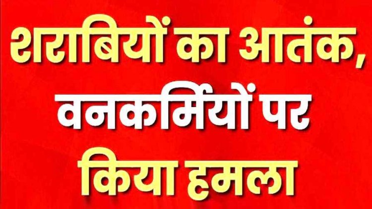 शराबियों का आतंक, जंगल में शराब पी रहे तीन युवकों ने मना करने पर वन कर्मियों की कर दी पिटाई, मचा हड़कंप, तीनों आरोपी फरार, तलाश जारी