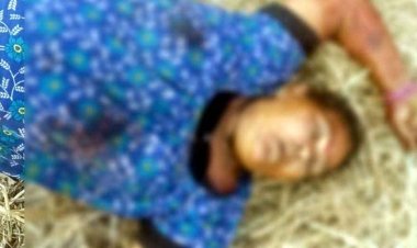 बोरसी में धान कटाई के दौरान ट्रैक्टर की चपेट में आई 62 वर्षीय महिला की मौत, मचा हड़कंप, गांव में शोक का माहौल, जांच में जुटी पुलिस