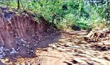 छत्तीसगढ़ में तस्करी का पुष्पा मॉडल, JCB से बनाई 16 KM की वन-वे रोड, 18 बार नाला पार, उड़ीसा का धान छत्तीसगढ़ में खपा रहे तस्कर