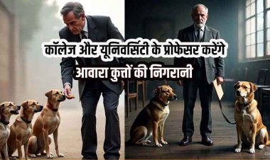 छत्तीसगढ़ में स्कूल शिक्षकों के बाद अब कॉलेजों और विश्वविद्यालय में भी आवारा कुत्तों की निगरानी करेंगे प्रोफेसर, आदेश जारी
