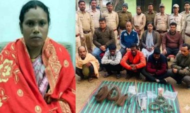 जंगल में करंट से बाघ की मौत मामले में महिला सरपंच समेत आरोपी गिरफ्तार, सभी भेजे गए जेल, बिट गार्ड सस्पेंड, नाखून-बाल घर से बरामद