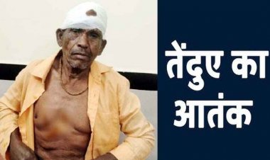 जंगल में नीम पत्ती लेने गया ग्रामीण बना तेंदुए के हमले का शिकार, हालत नाजुक, ग्रामीणों में दहशत, वन विभाग पर लापरवाही का आरोप